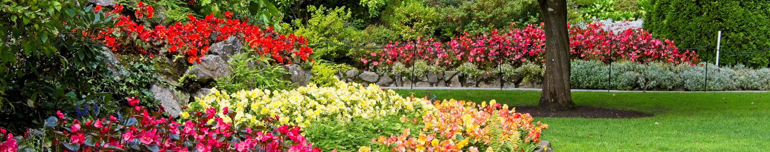 Devant -Fleur et Fruit Soldes 2024 banner384